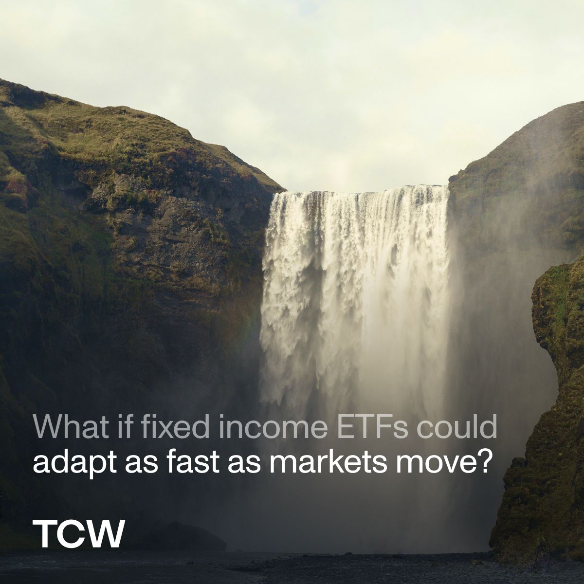 TCW ad