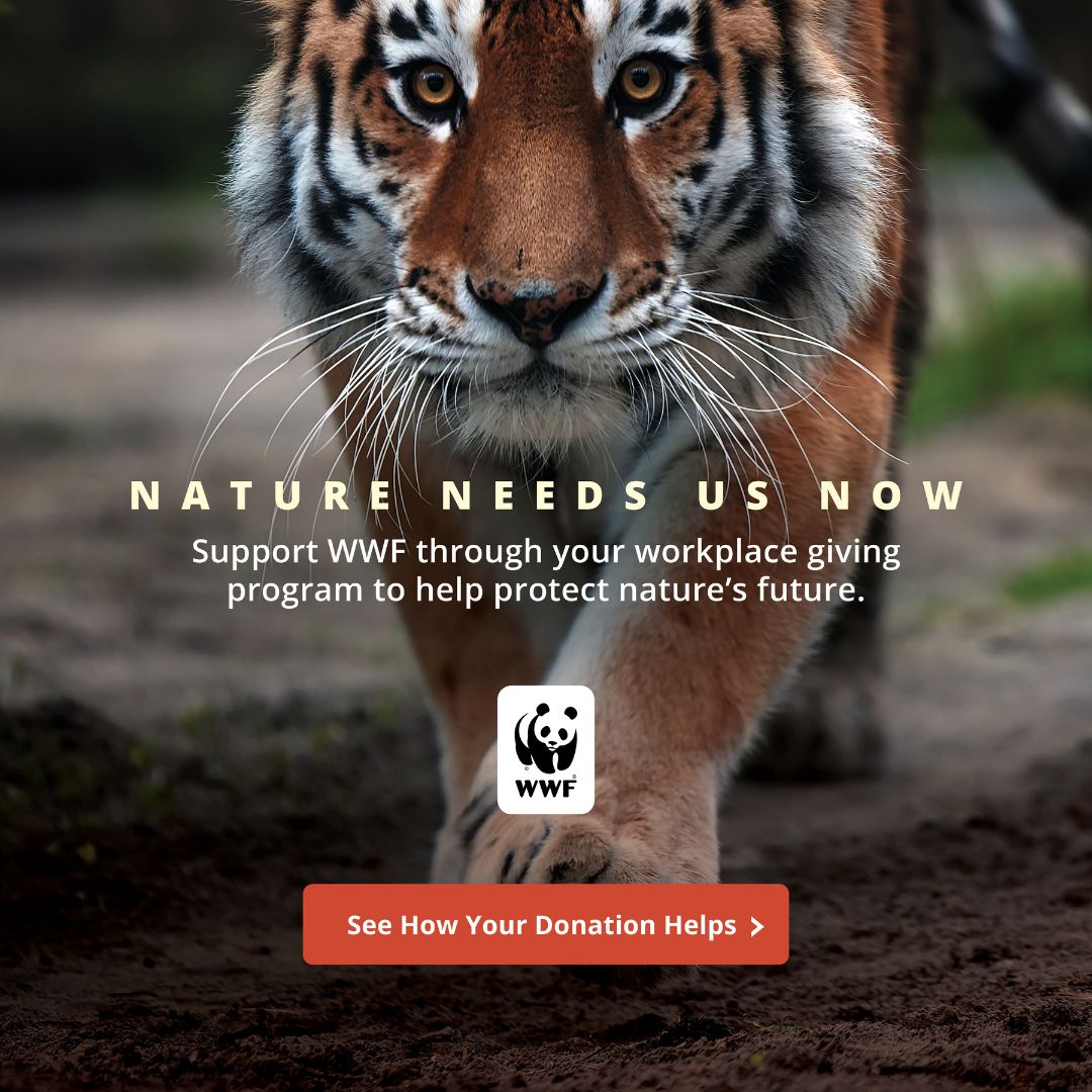 World Wildlife Fund ad