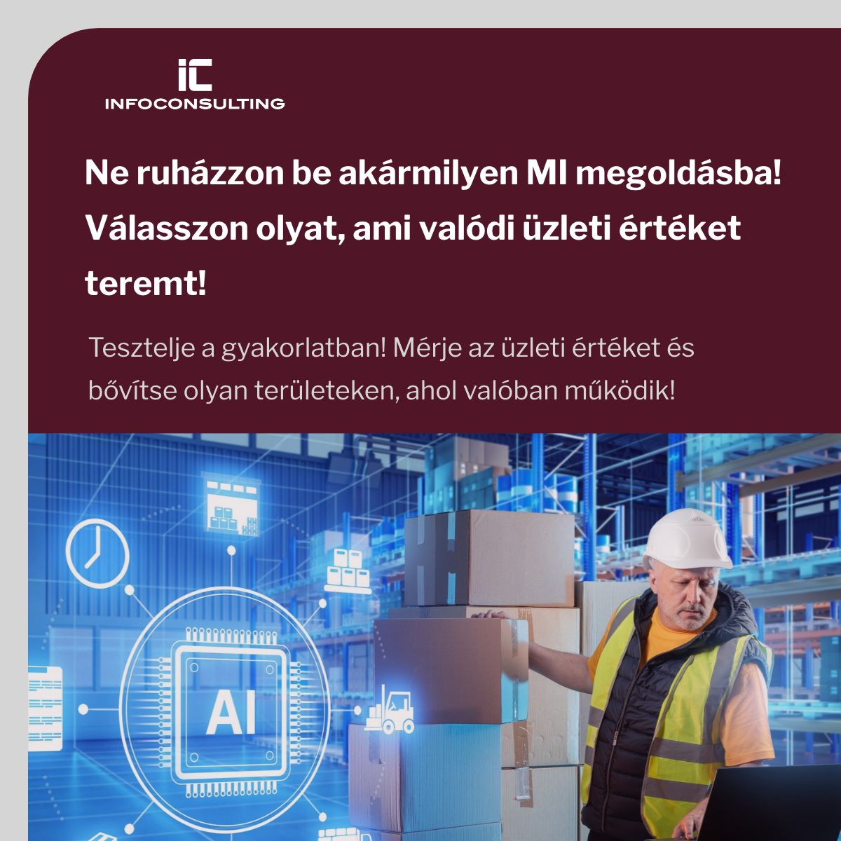 InfoConsulting ad