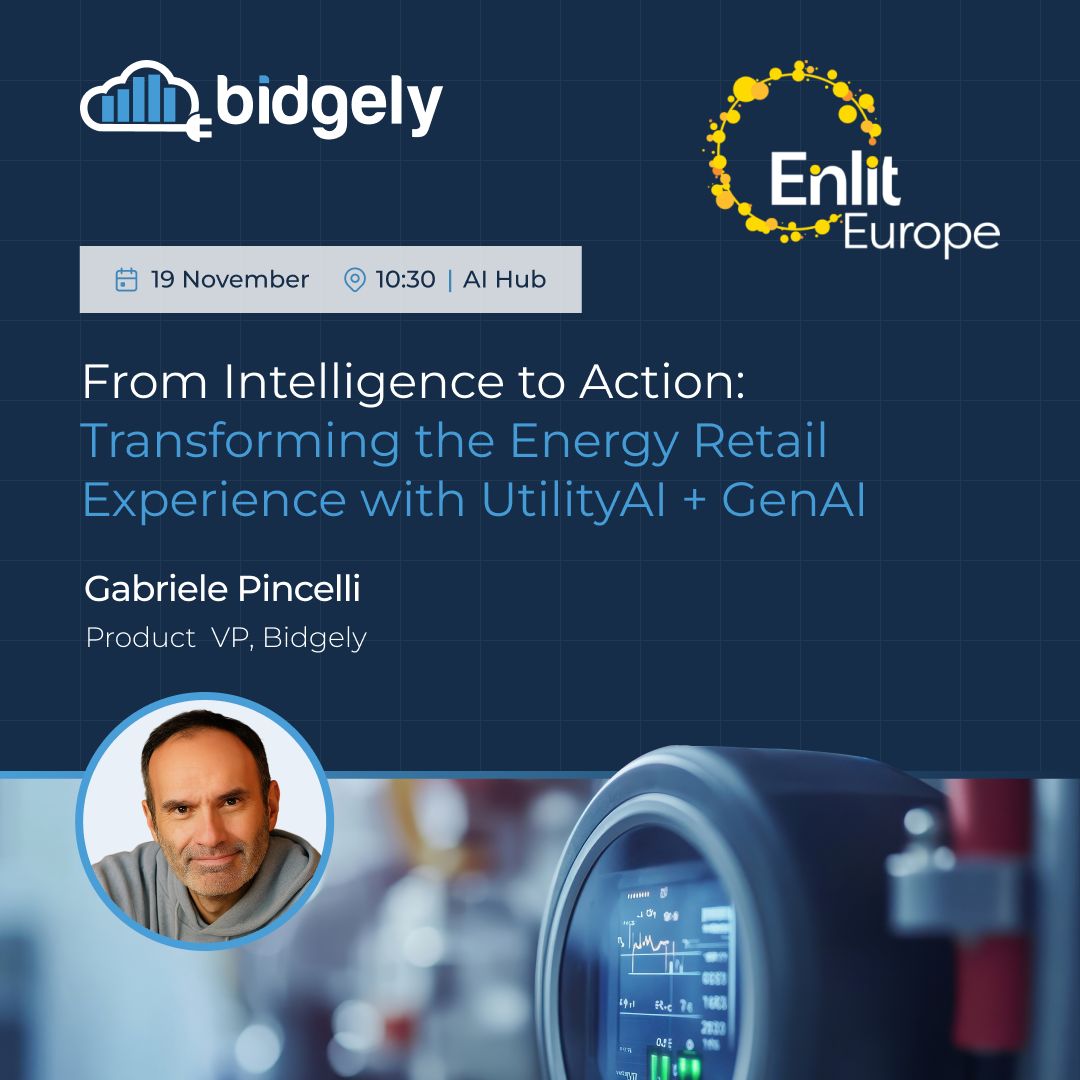 Bidgely ad