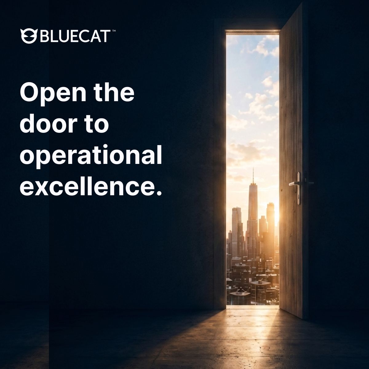 BlueCat ad