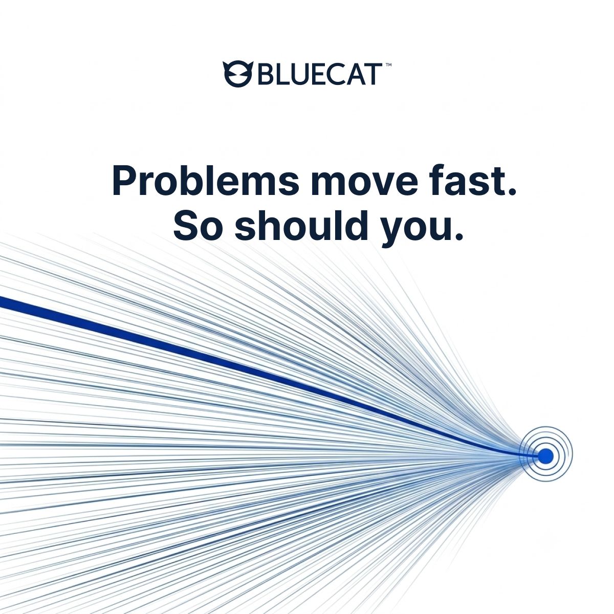 BlueCat ad