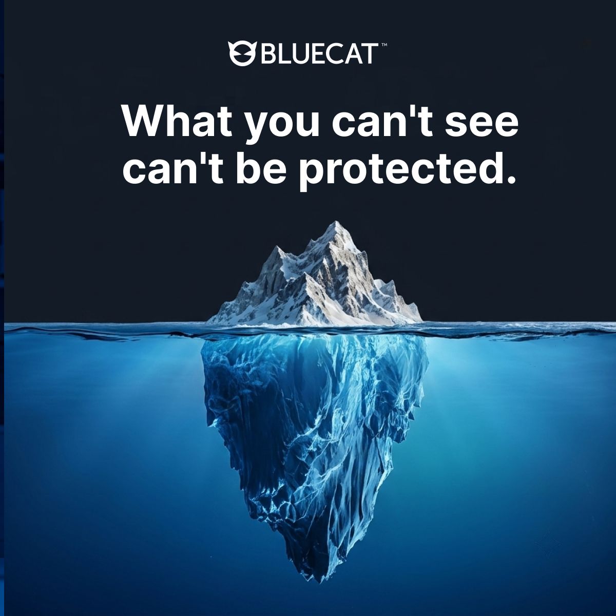 BlueCat ad