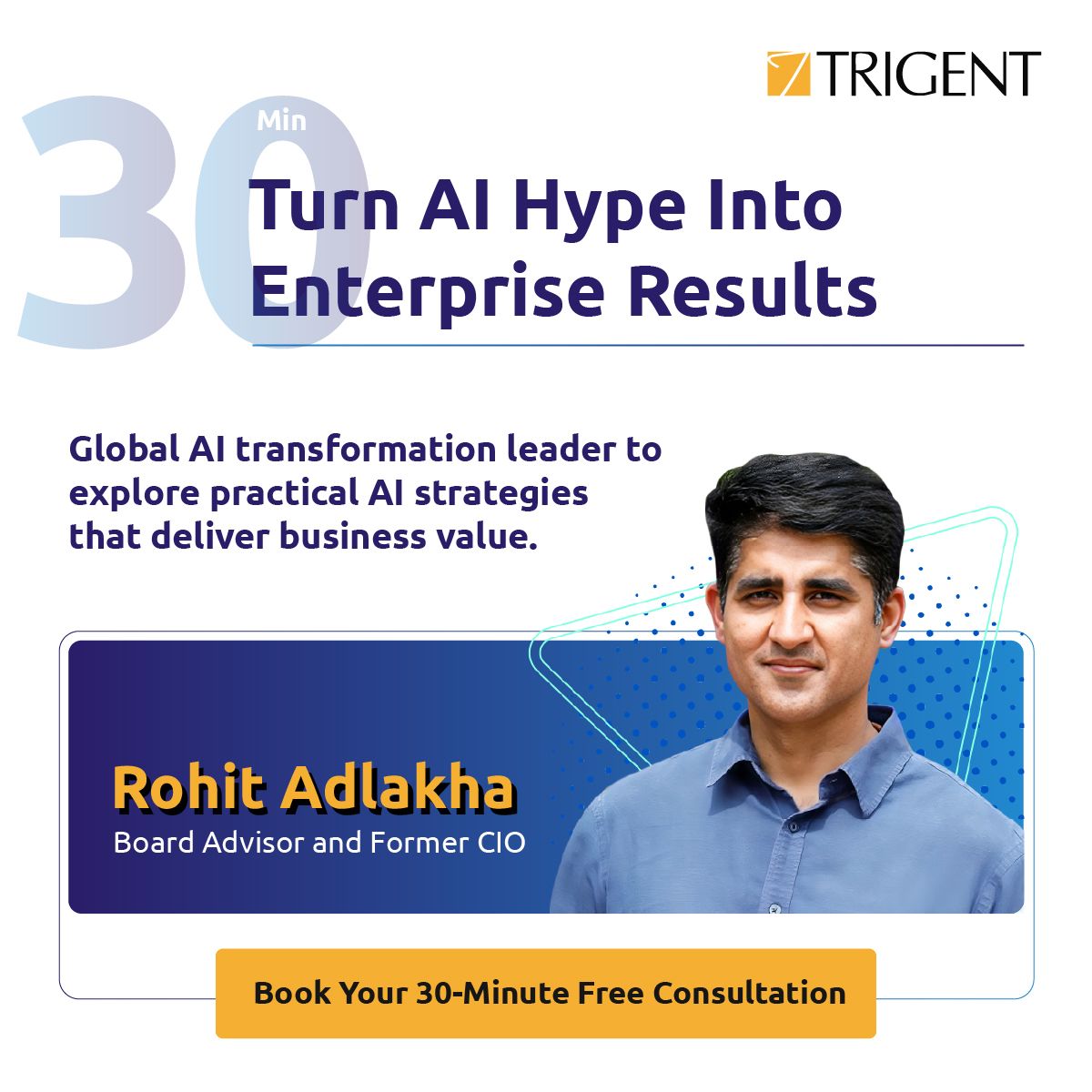 Trigent Software Inc ad