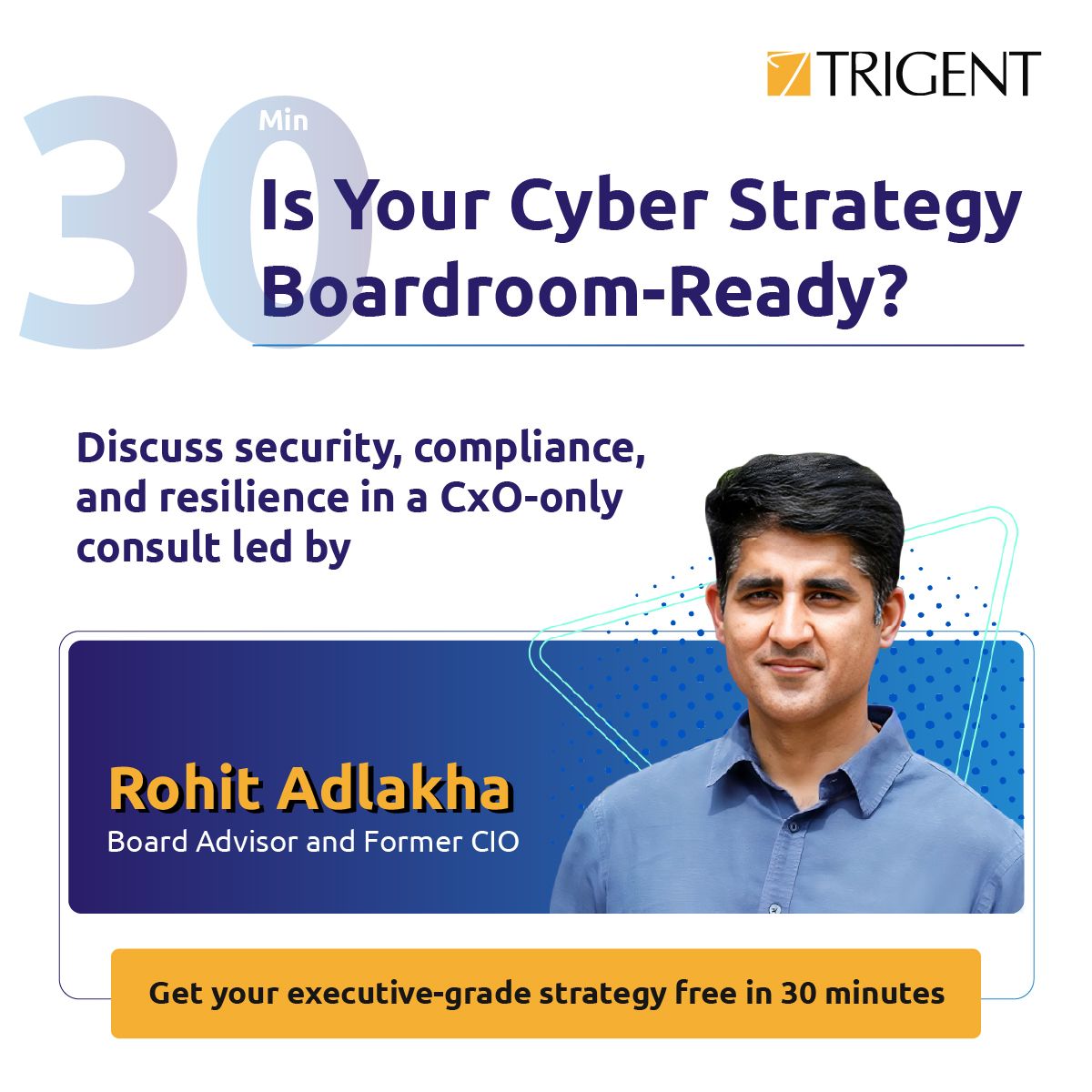 Trigent Software Inc ad