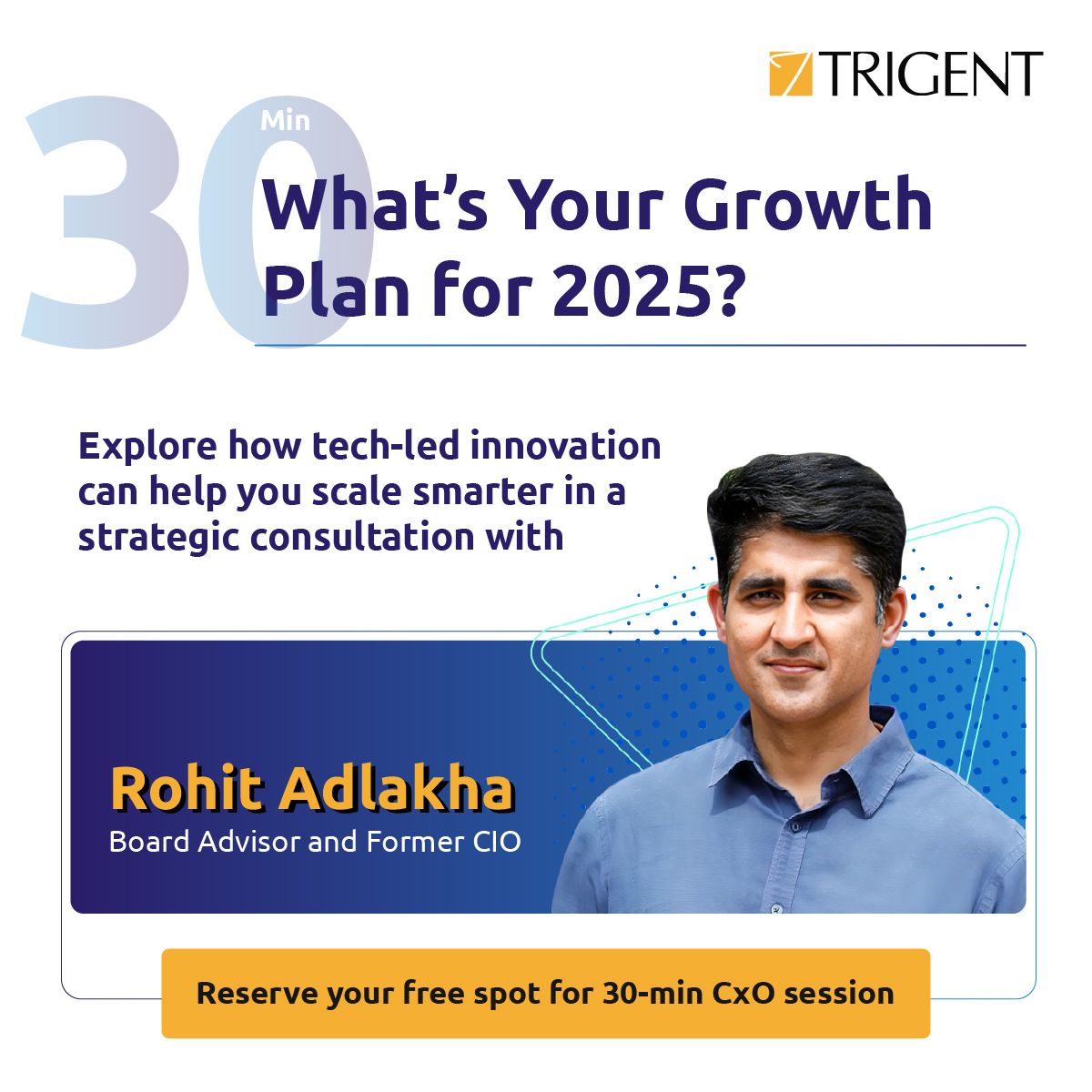 Trigent Software Inc ad