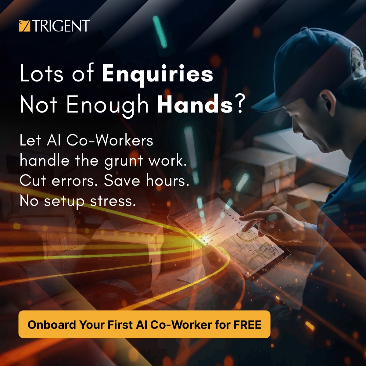 Trigent Software Inc ad
