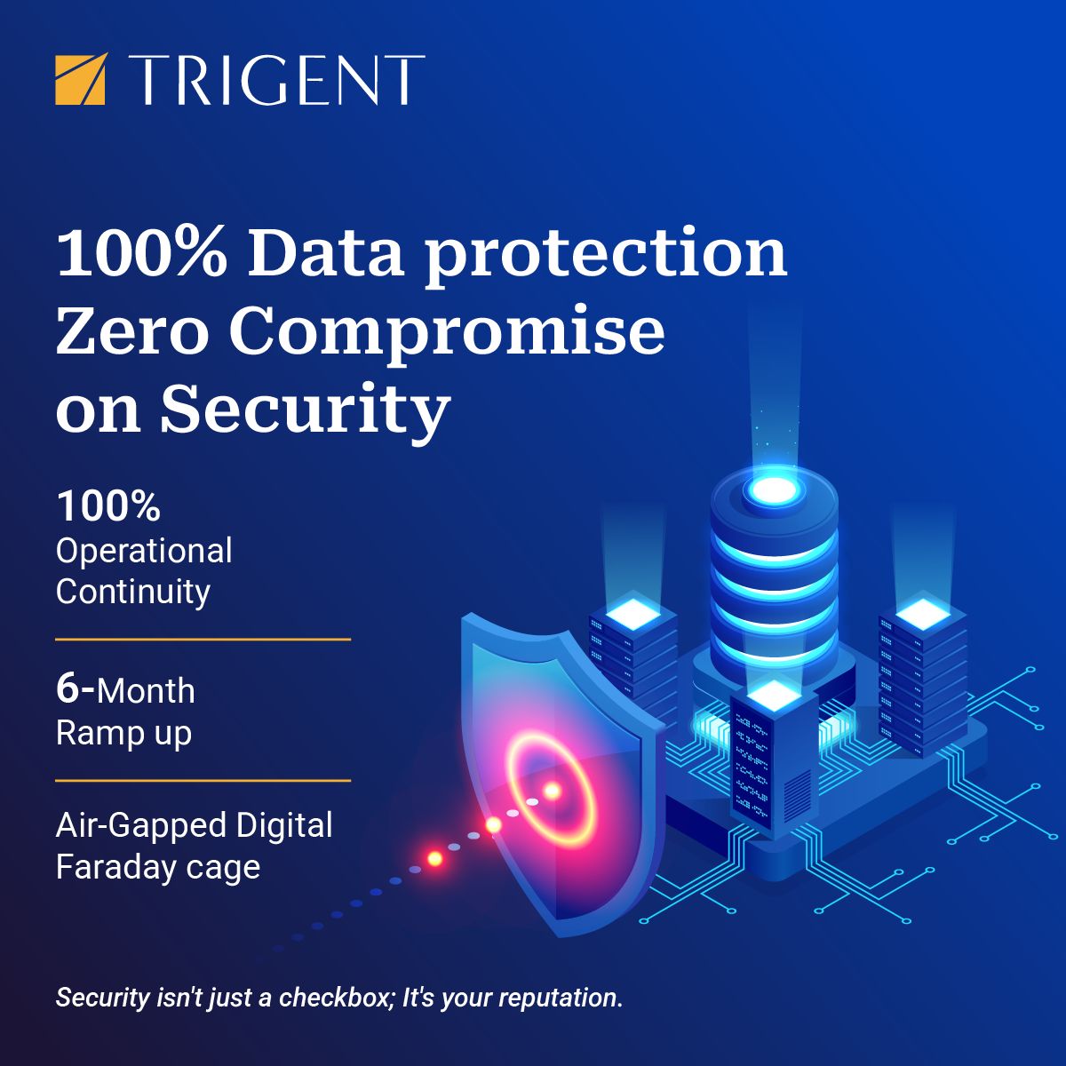 Trigent Software Inc ad