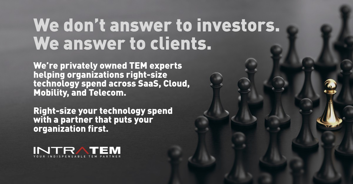 IntraTEM - Technology Expense Management ad