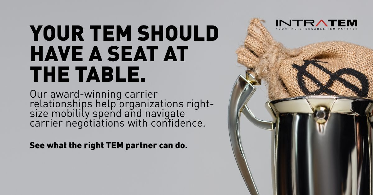IntraTEM - Technology Expense Management ad