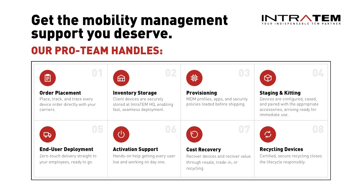 IntraTEM - Technology Expense Management ad