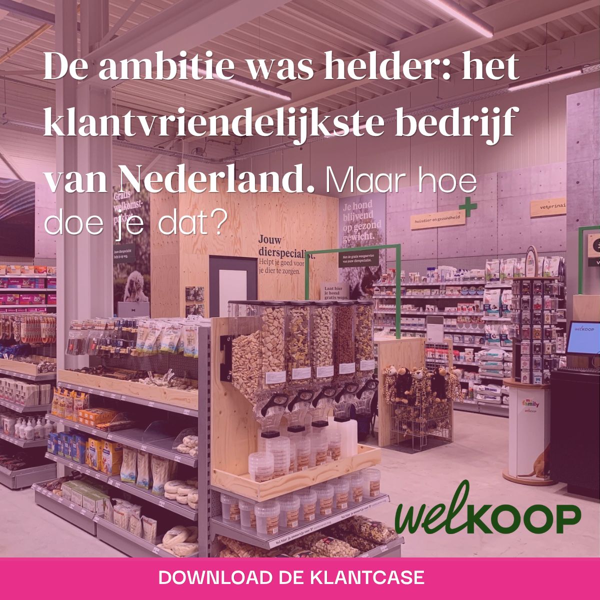 excap ad
