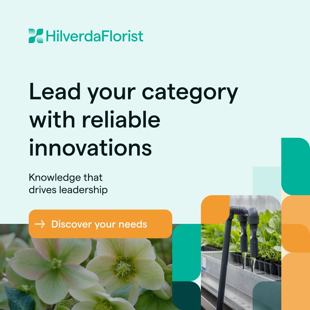 HilverdaFlorist BV ad