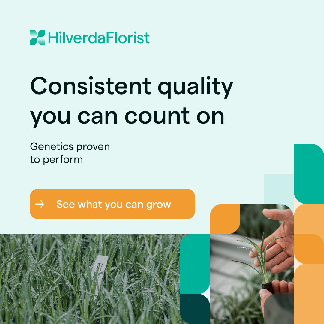 HilverdaFlorist BV ad