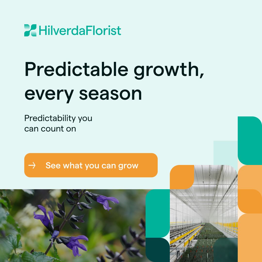HilverdaFlorist BV ad