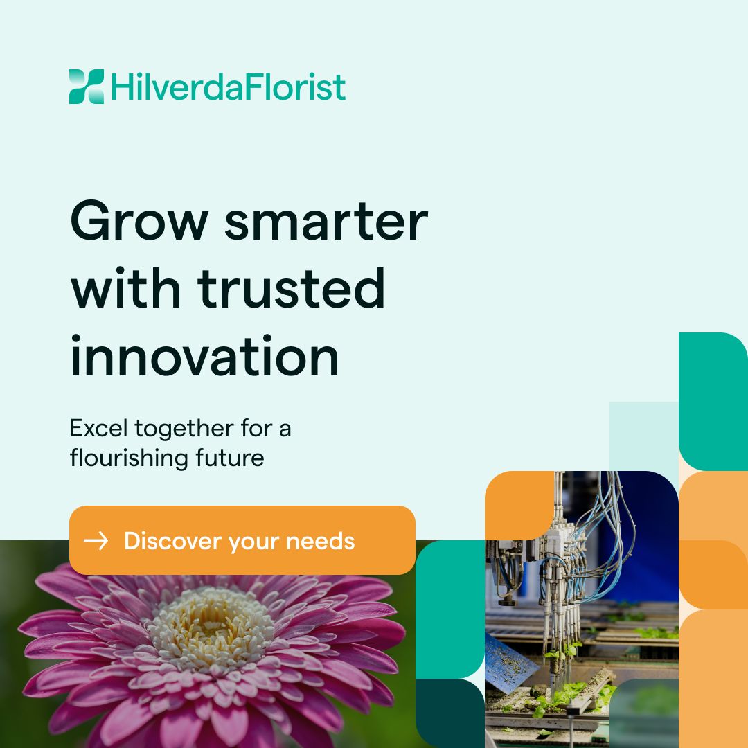 HilverdaFlorist BV ad