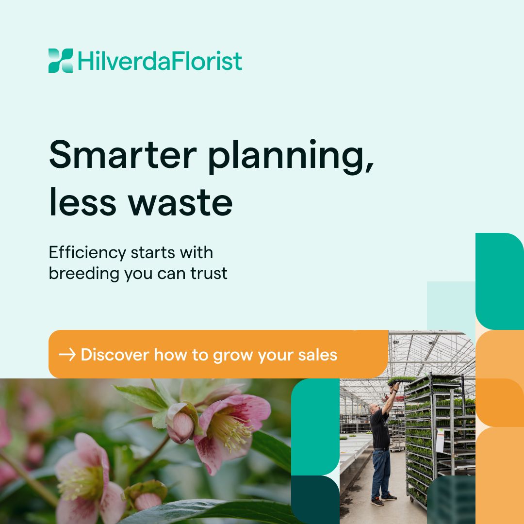 HilverdaFlorist BV ad
