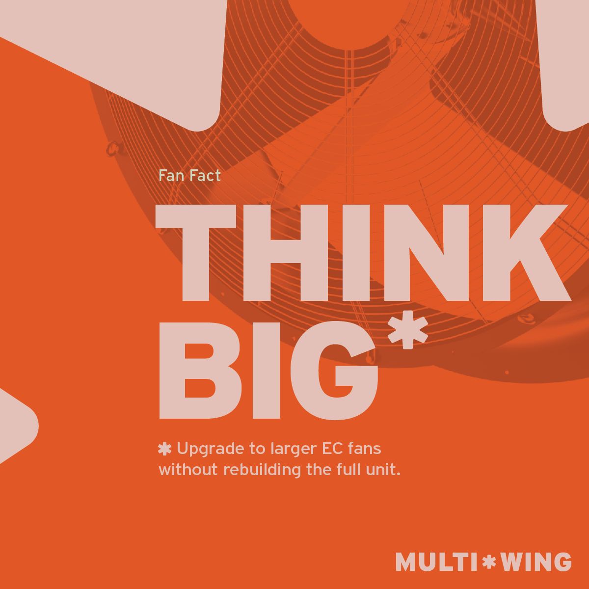 Multi-Wing ad