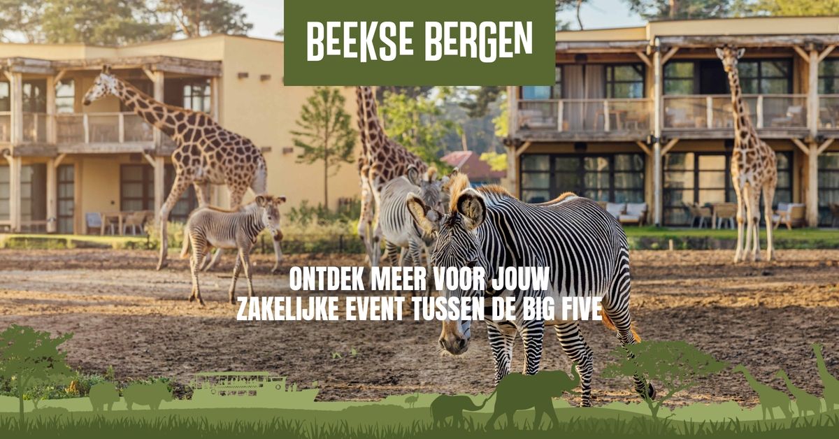 Beekse Bergen ad