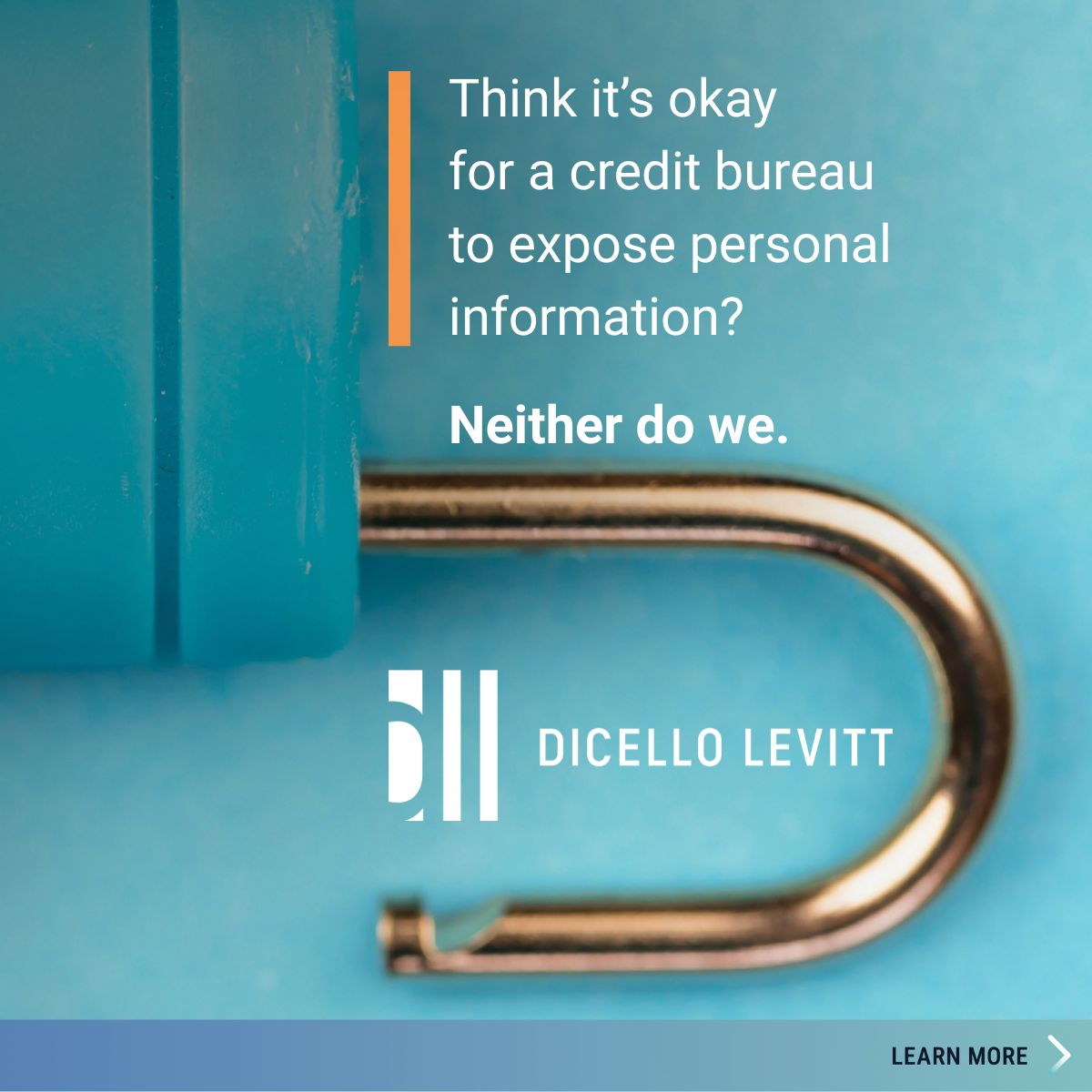 DiCello Levitt LLP ad