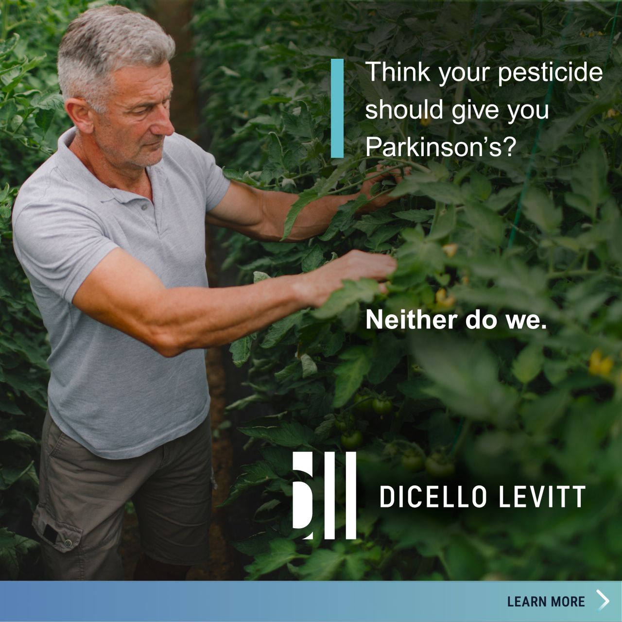 DiCello Levitt LLP ad