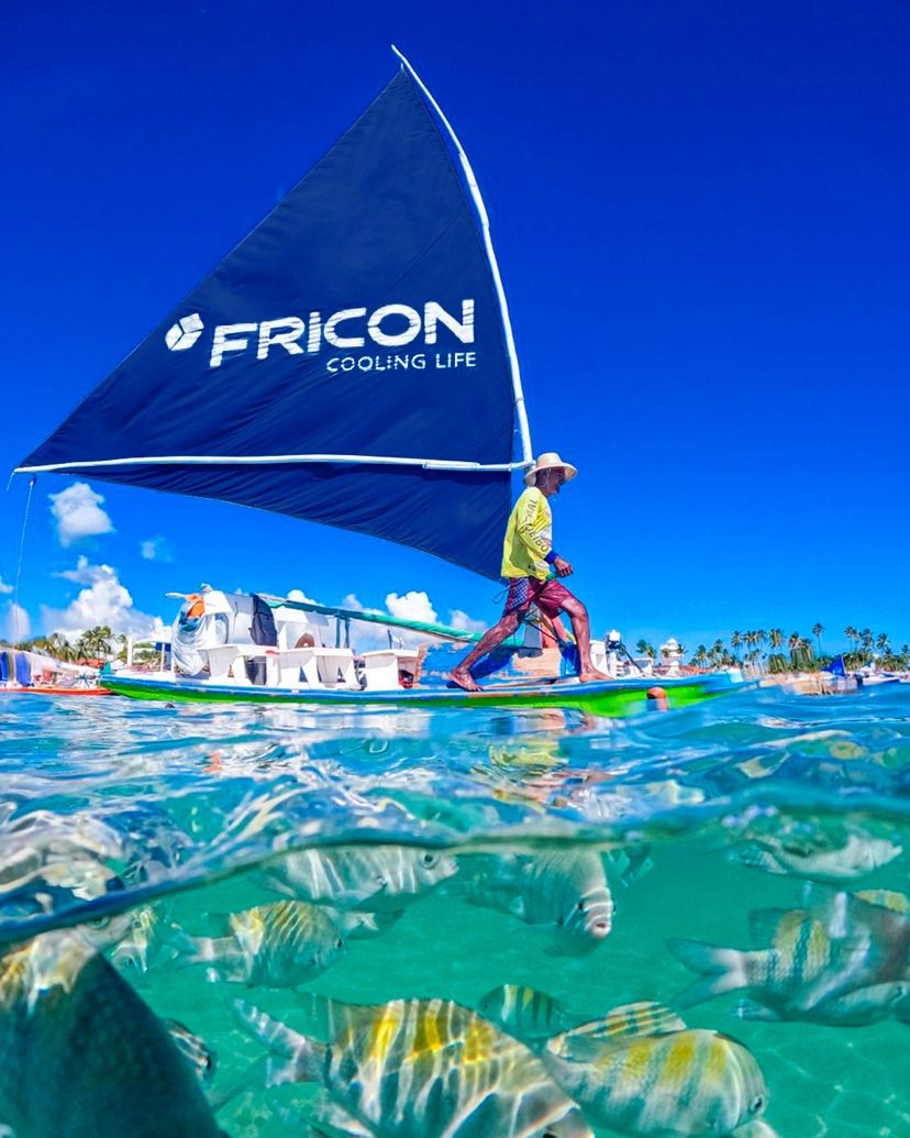 Fricon Brasil 🇧🇷 ad