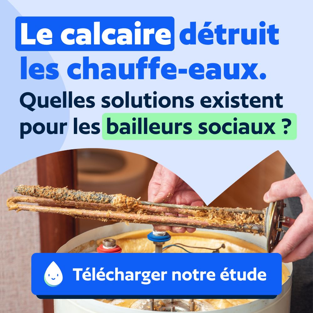 Elax Energie ad