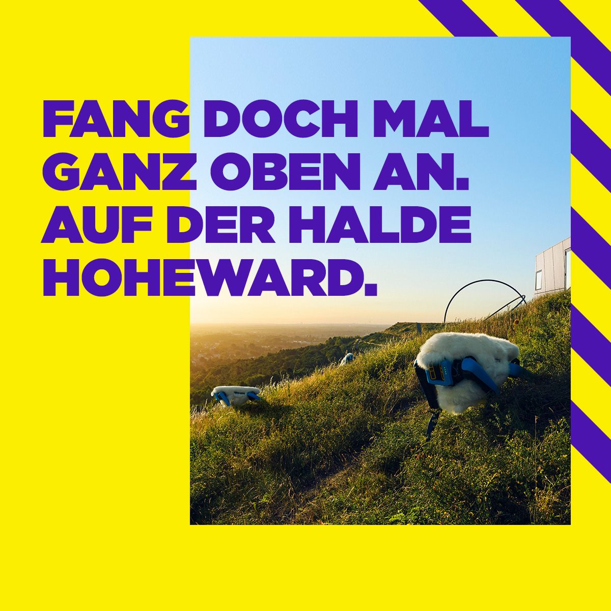 Das Ruhrgebiet ad