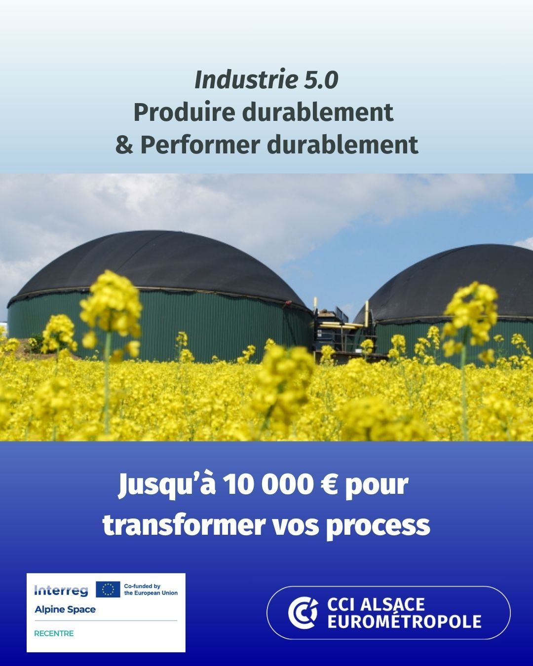 CCI Alsace Eurométropole ad