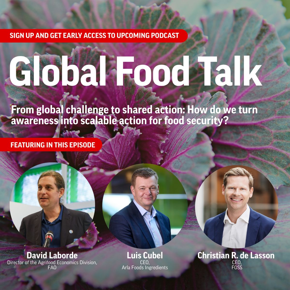 Food Nation Denmark ad