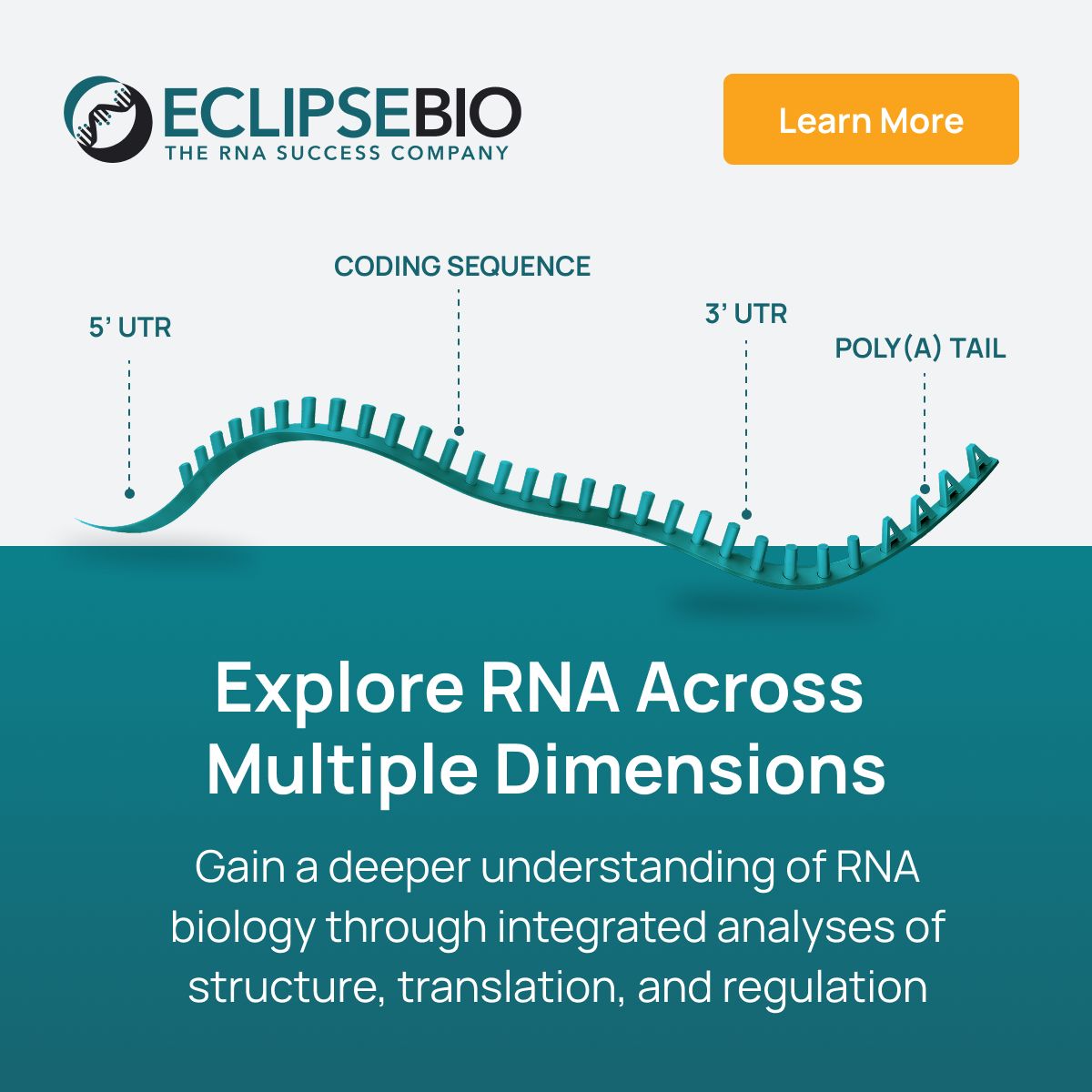 Eclipsebio ad