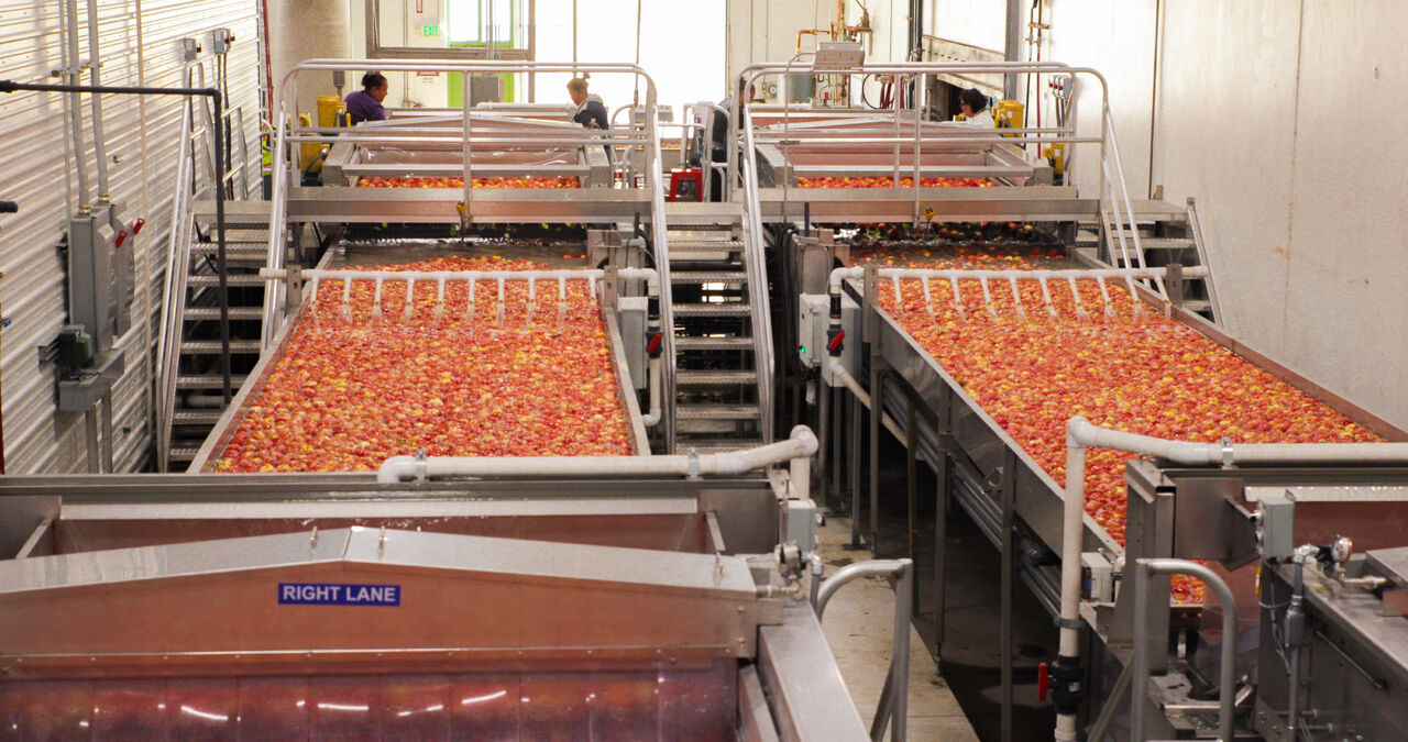 Gee Whiz ad