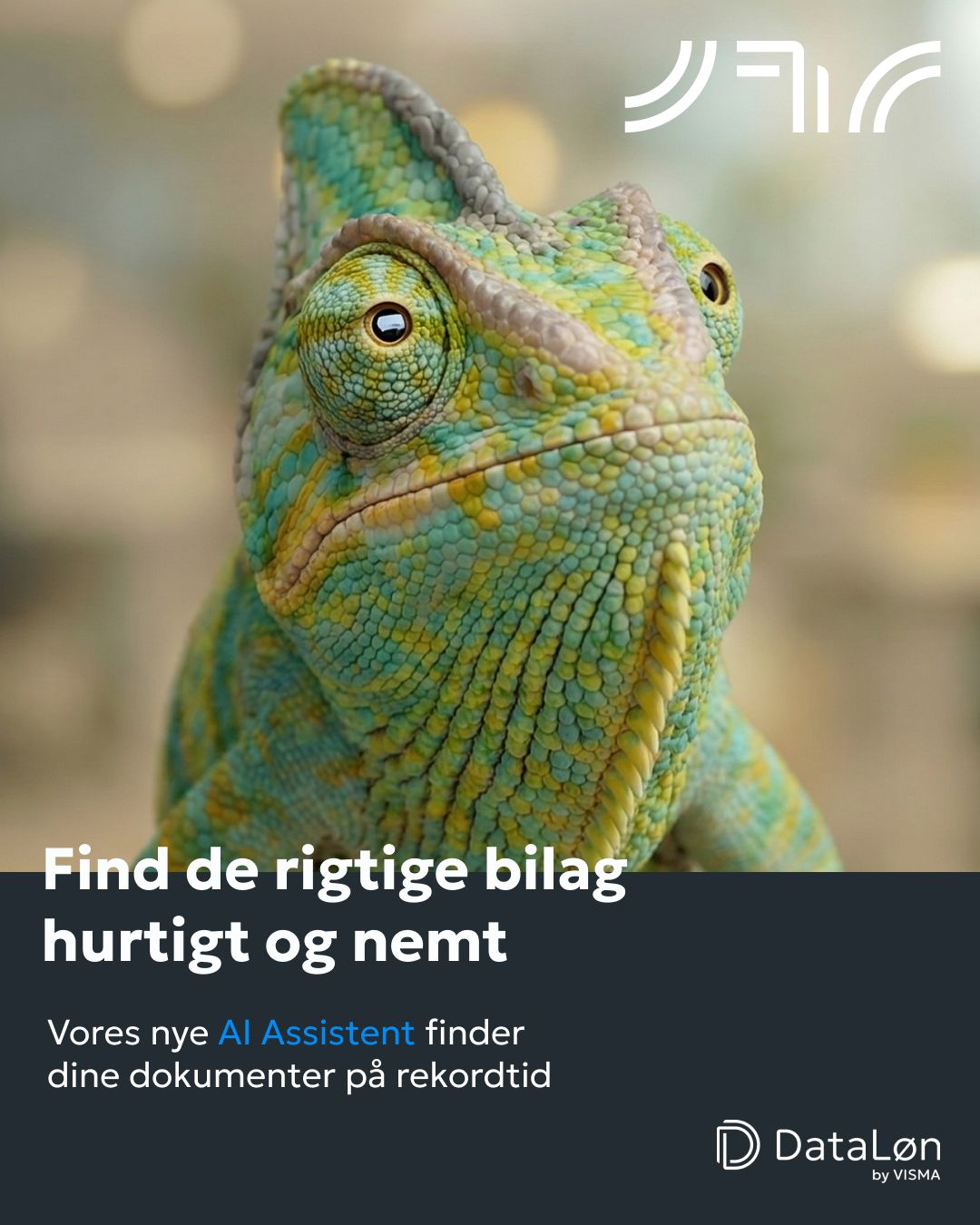 DataLøn ad