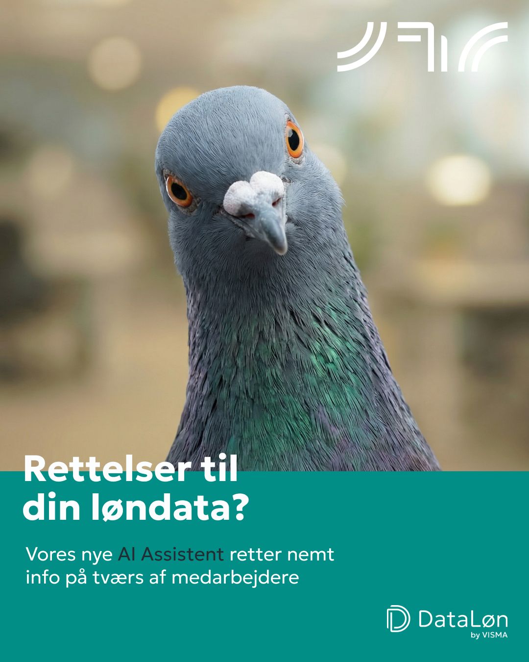 DataLøn ad