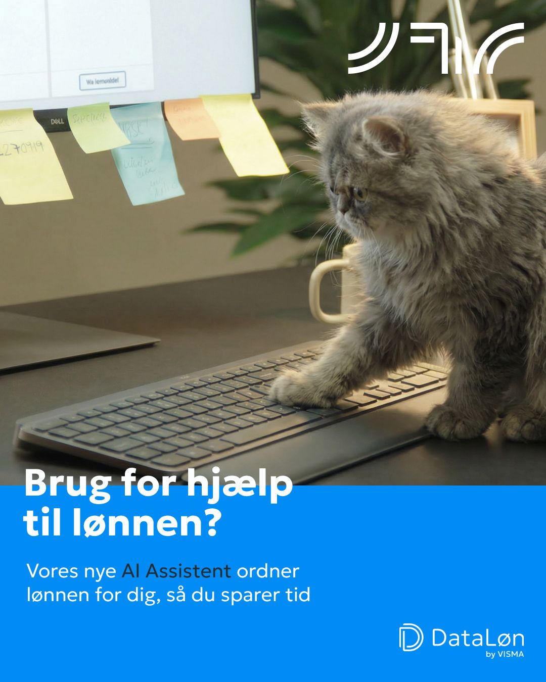 DataLøn ad