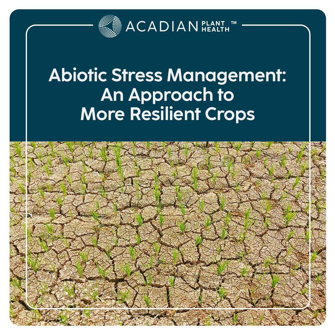 Acadian Plant Health™ ad