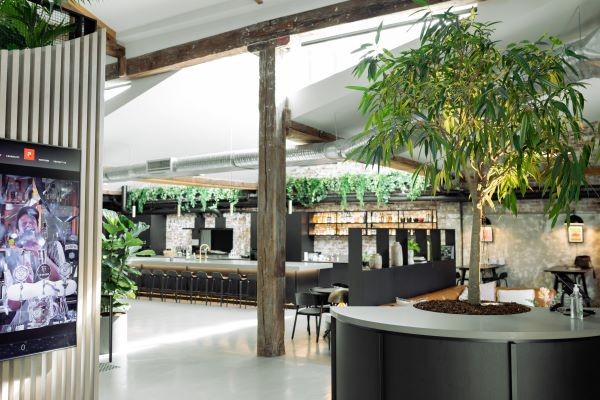 Green Design Indoor Plant Hire ad