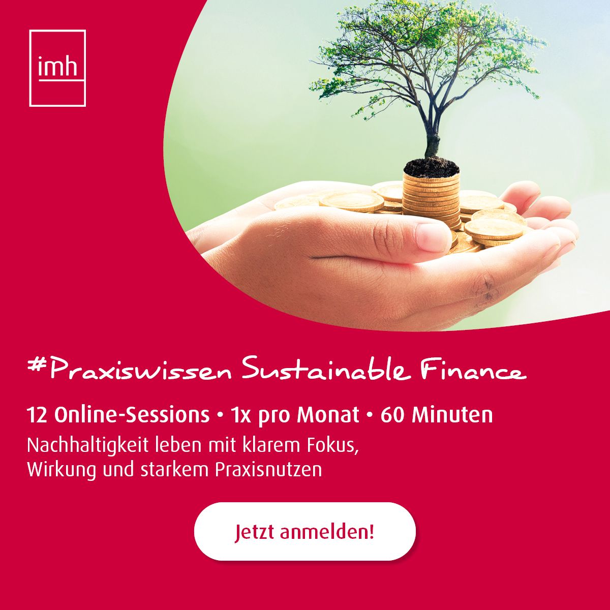 imh · Institut Manfred Hämmerle GmbH ad