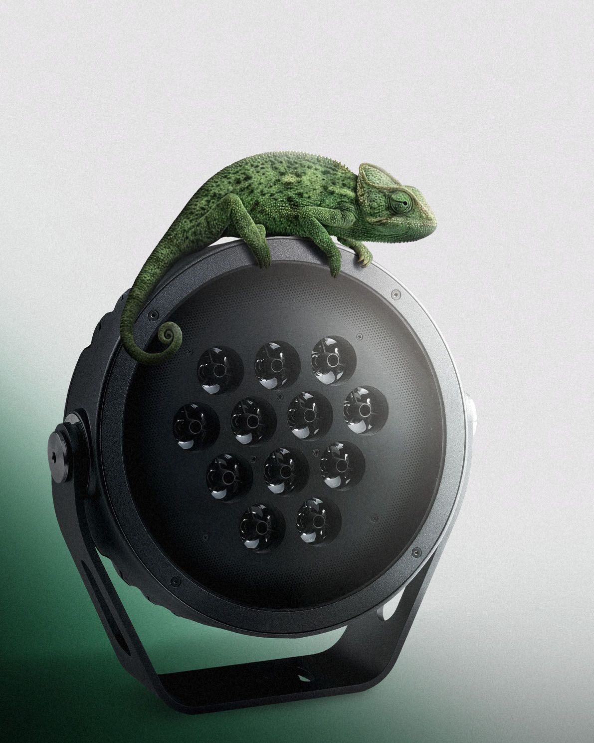 Anolis Lighting ad