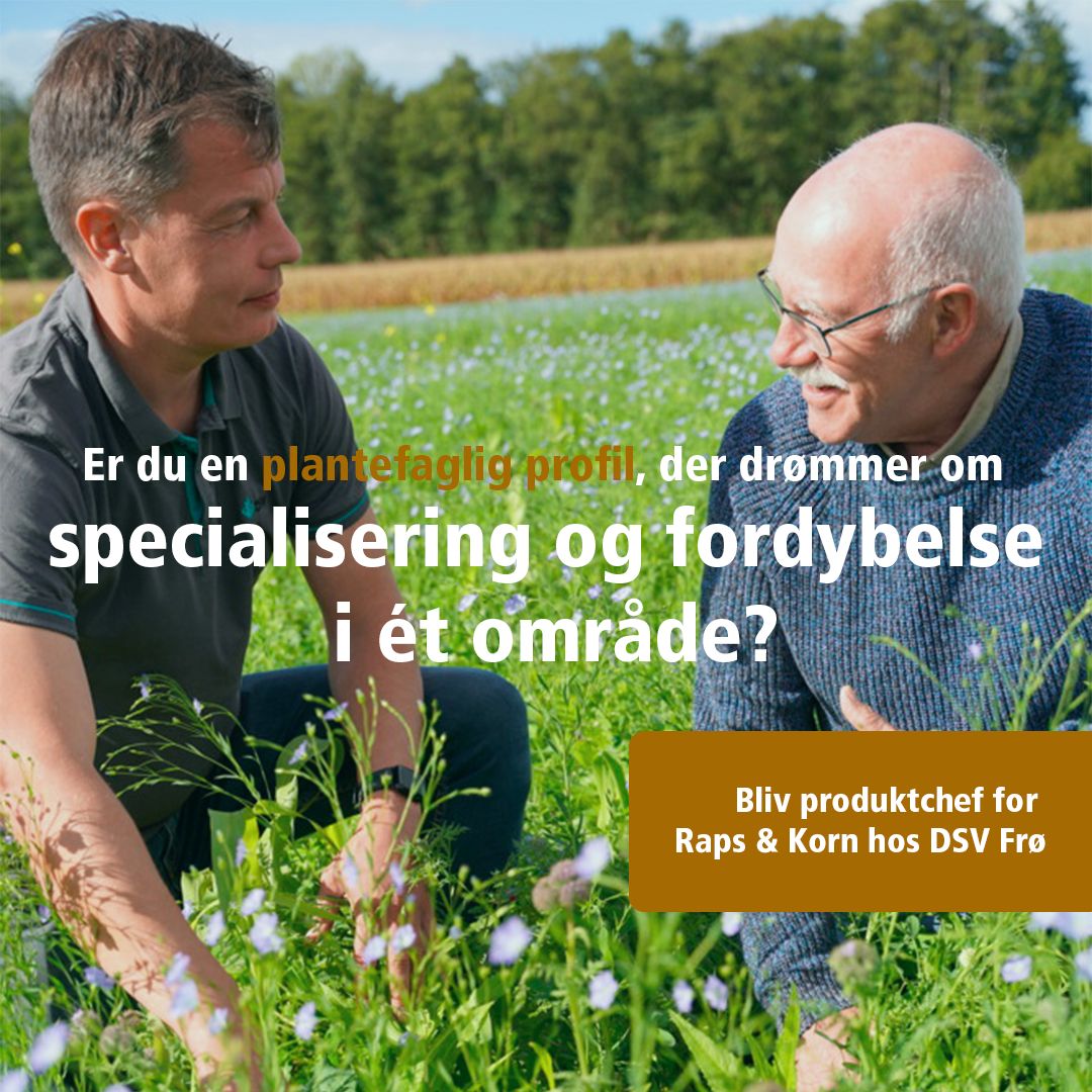 DSV Seeds Denmark ad