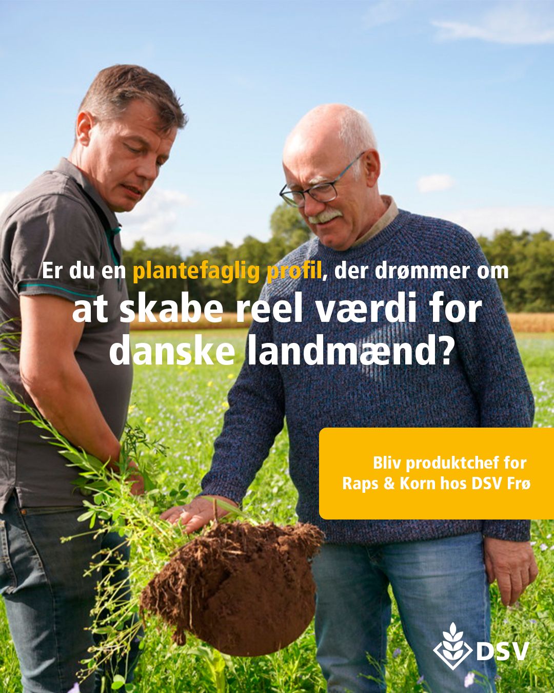 DSV Seeds Denmark ad
