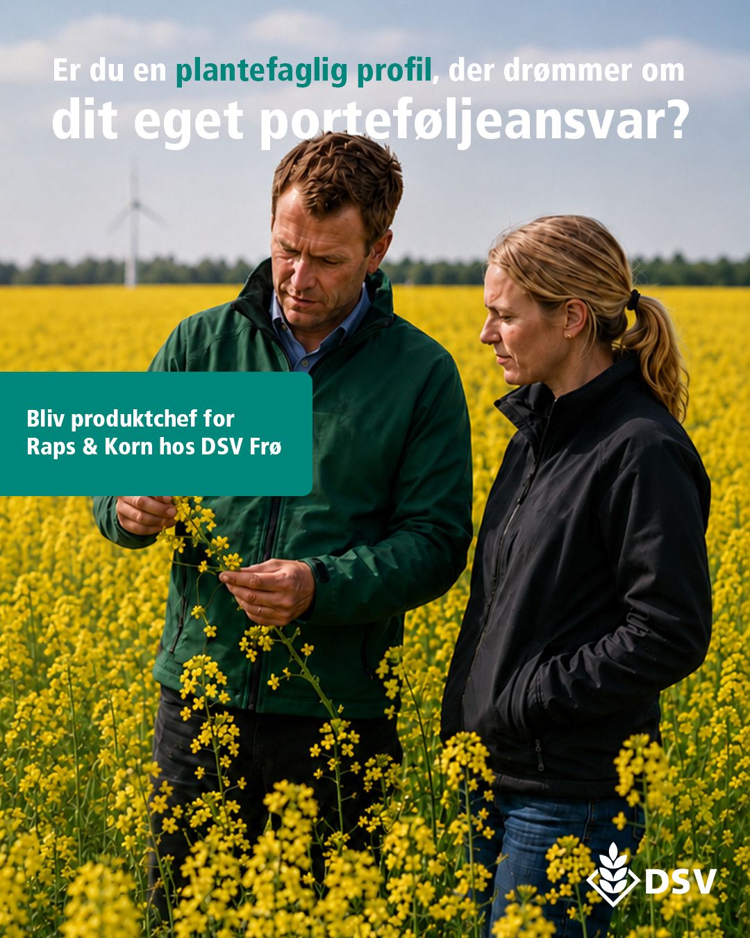 DSV Seeds Denmark ad