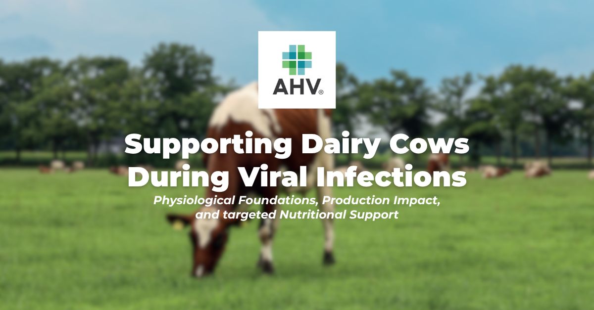 AHV International ad