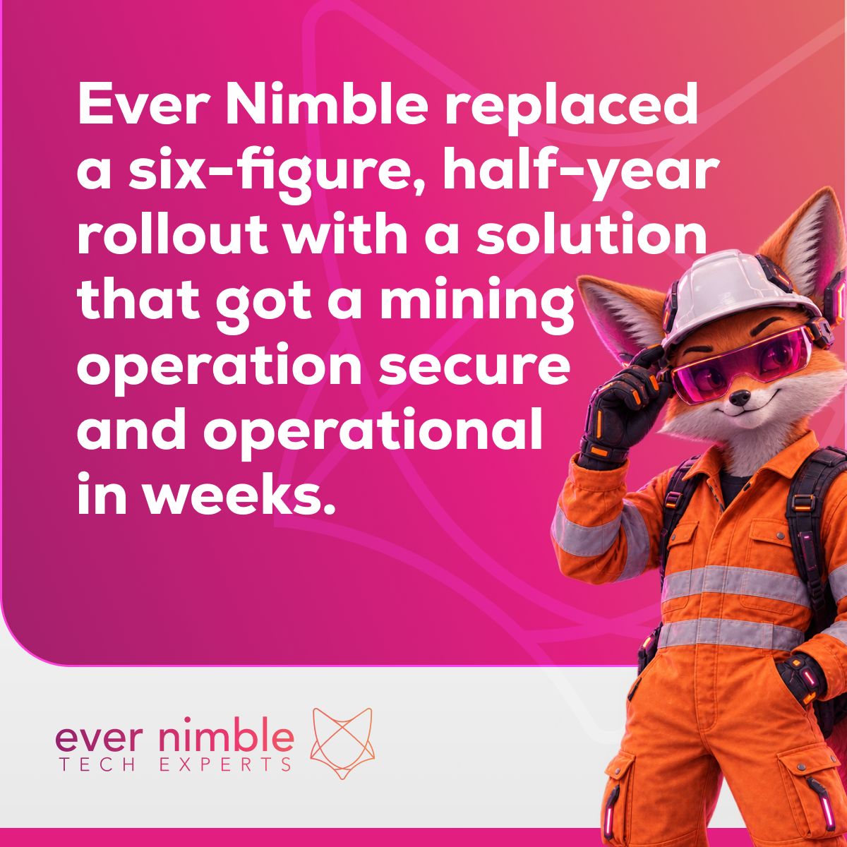 Ever Nimble ad