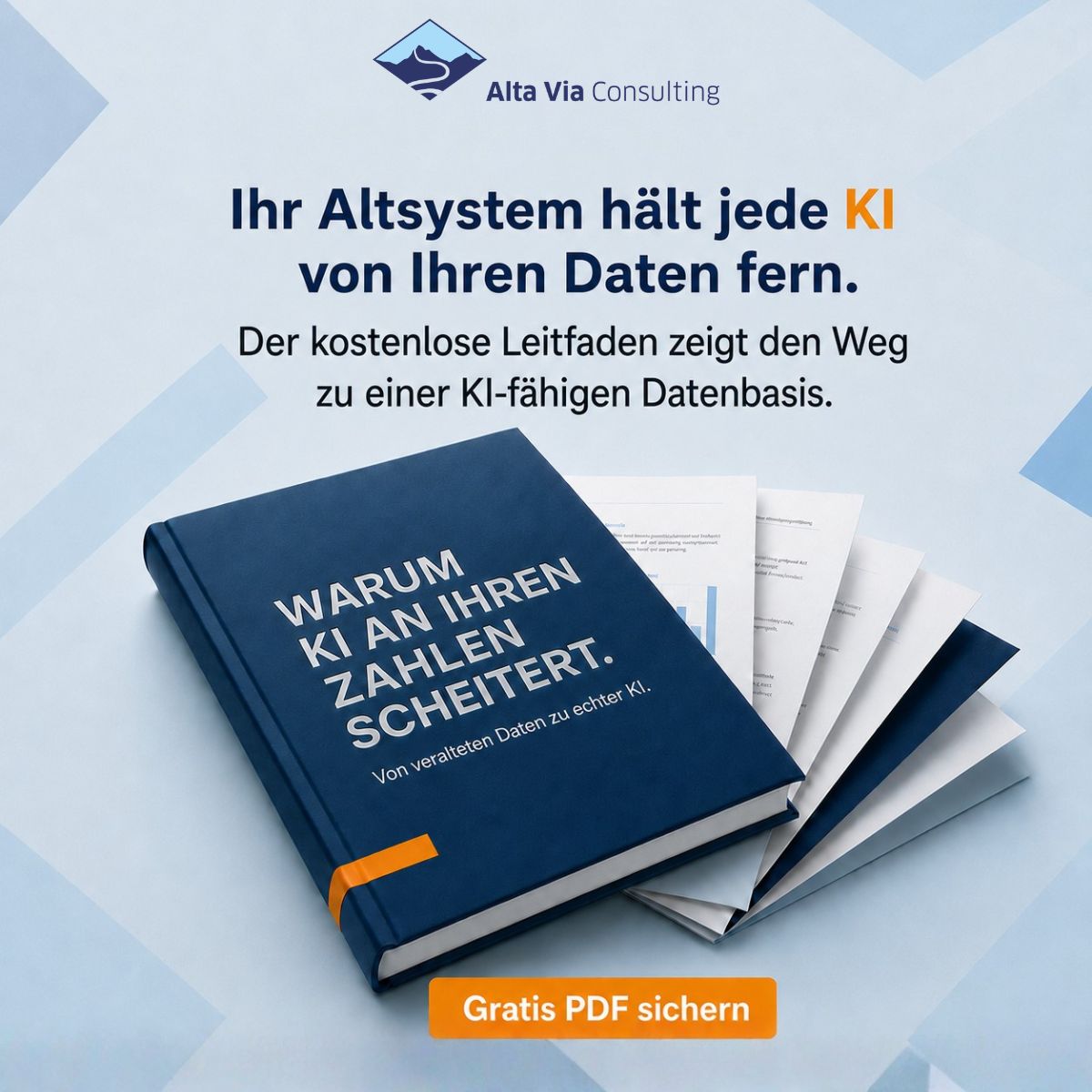 Alta Via Consulting GmbH ad