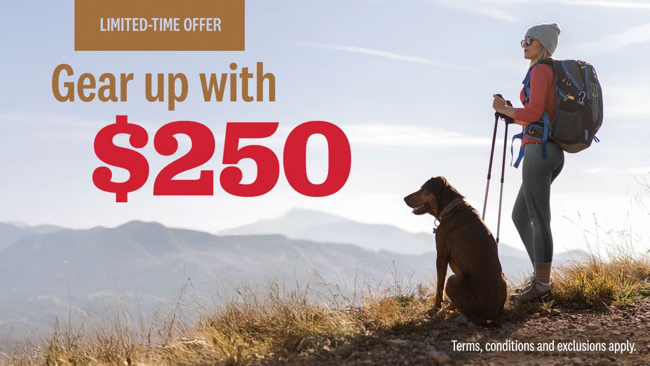 Mountain America Investment Services ad
