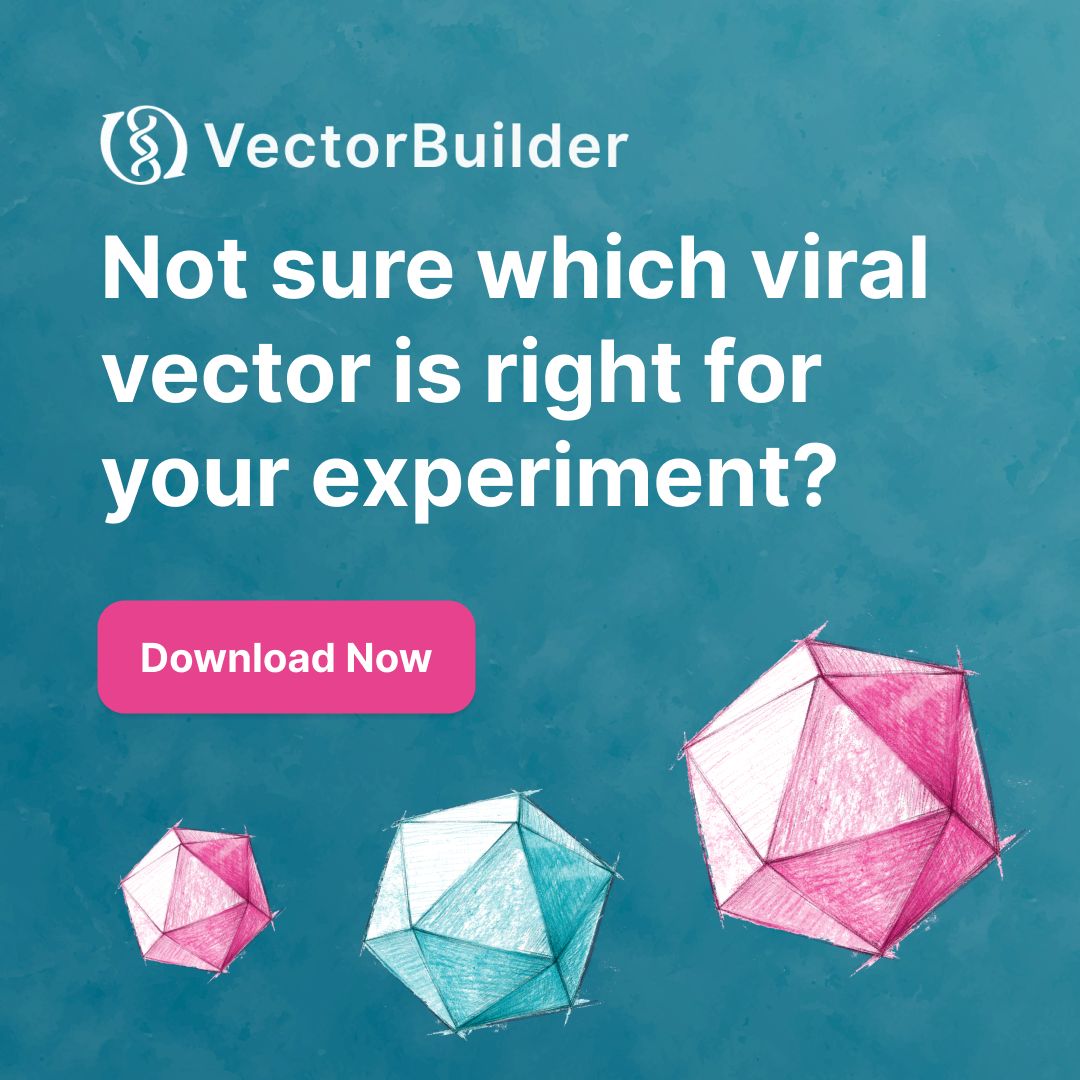 VectorBuilder ad