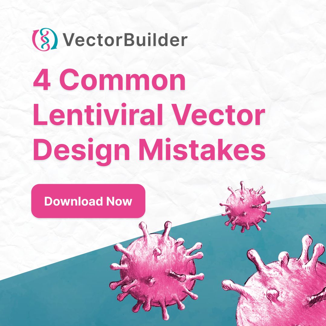 VectorBuilder ad