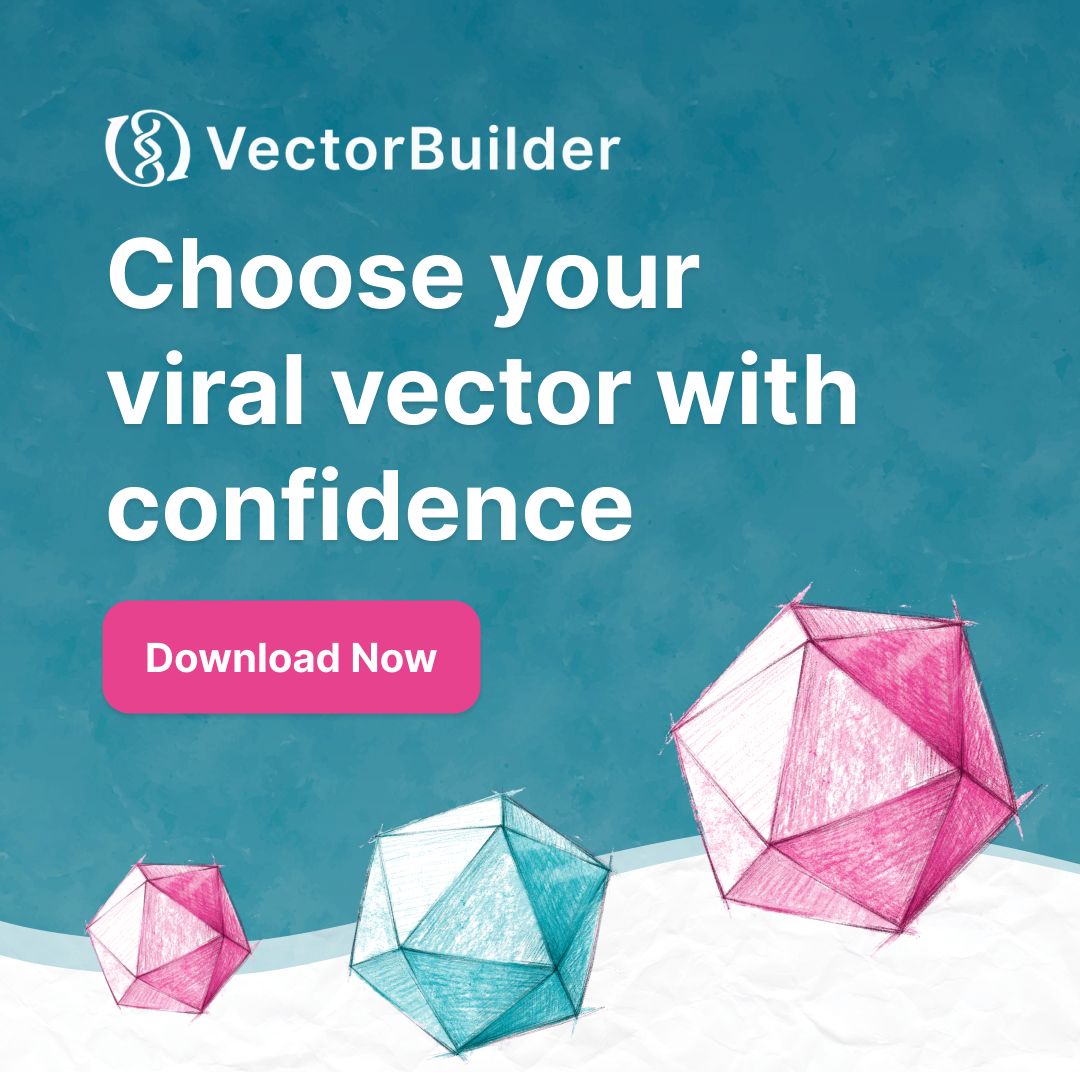 VectorBuilder ad