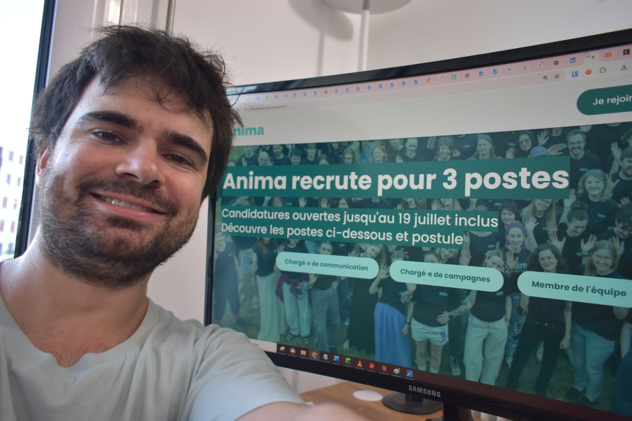 Anima ad